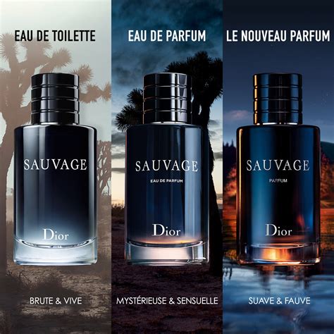 sauvage dior 100ml renner|sephora dior sauvage.